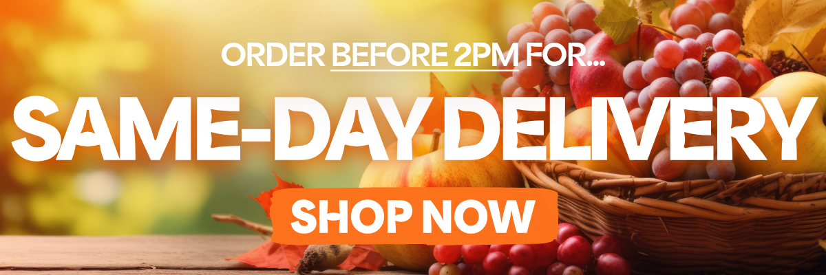 (web) Autumn24-5-15% OFF Nov